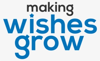 Make A Wish Foundation Benefit Performance - Prism Digital