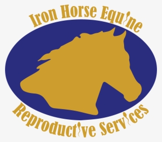 Services Iron Horse Equine
