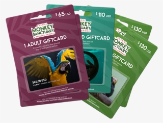 Akumal Monkey Sanctuary Gift Card Is The Perfect Treat - Graphic Design
