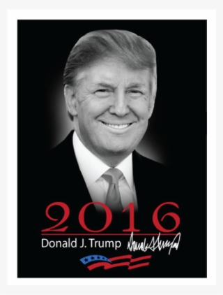 Donald Trump 2016 Portrait Magnet - Poster