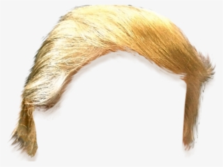 Haircut Clipart Trump - Trump Hair Png