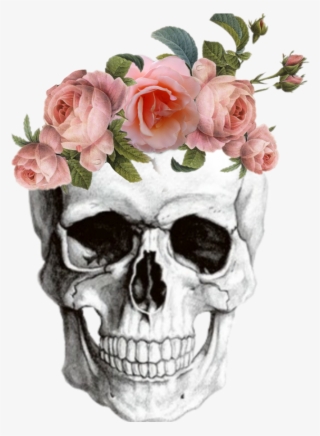 Anatomy Skull Skullsticker Flowers Tumblr - Middle School Shading Worksheet
