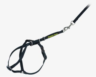 Cat Harness & Leash - Halter