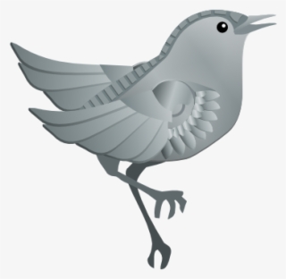 Bird3 B Mock - Northern Mockingbird