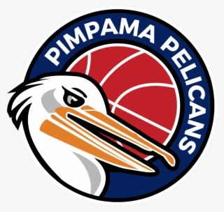 pimpama pelicans - army 82nd airborne logo