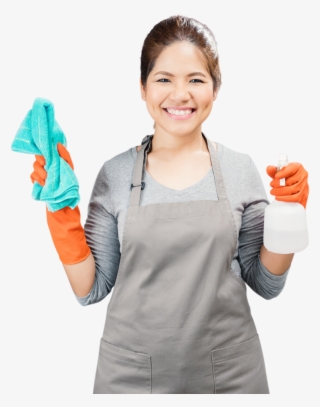 Spray Cleaning - Housewife