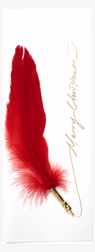 Feather Pen Christmas - Calligraphy