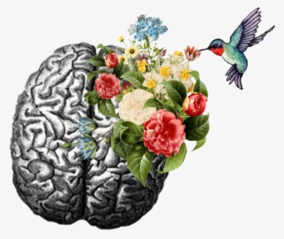 Hummingbird Brain - Sticker - Emotional Intelligence Psychology Today