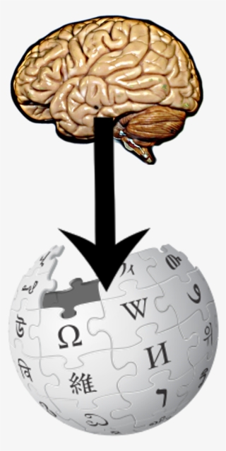 From Brain To Wikipedia - Wikipedia