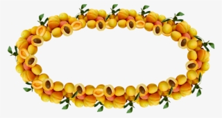 Jam Clipart Apricot Jam - Circle