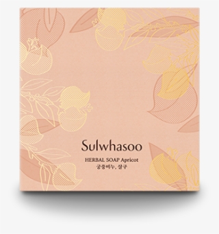 Herbal Soap Apricot - Construction Paper