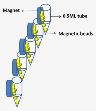 Magnetic Separator
