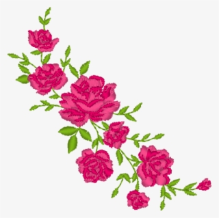 Rose Vine Png - Garden Roses