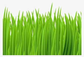 Ground Clipart Green Grass - Grass Clip Art Png