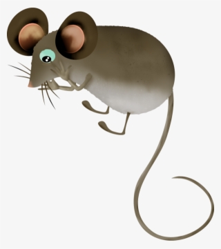 Mouse, Tubes, Png - Rat