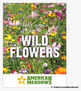Let's Grow Wildflowers Seed Packet - Luční Zahrada