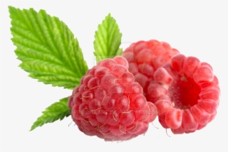Raspberry Png - Малина Png