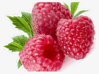 Raspberry Png Transparent Images - Transparent Background Raspberry Png