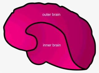 Inner Vs Outer Brain