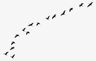 Birds Flying Away Tattoo Tumb - Birds Flying Away Png