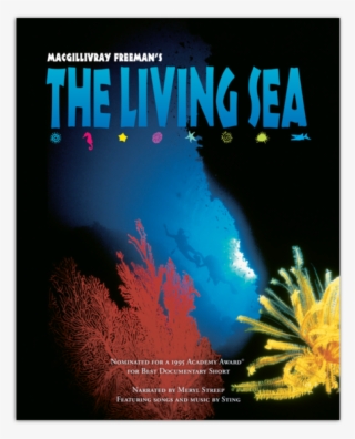 Academy Award® Nominated The Living Sea Takes You To - Sting The Living Sea