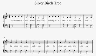 Silver Birch Tree Music Sheet