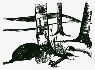 Birchtree - Tree