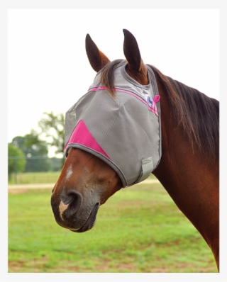 Breast Cancer Research Crusader Fly Mask,hay River - Fly Mask