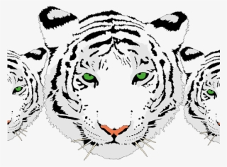 Bengal Clipart Tiger Head - White Tiger Face Png