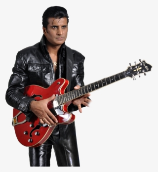 Professional Elvis Tribute Artist - Indian Elvis