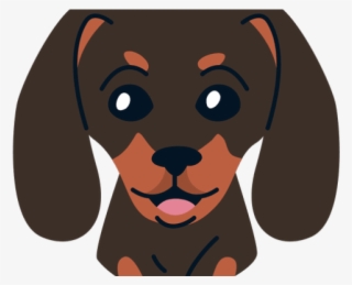 Companion Dog