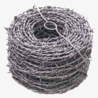 Barbed Wire - Barbed Wire Roll Png
