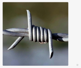 Double Single Twist Barbed Wire - Barbed Wires