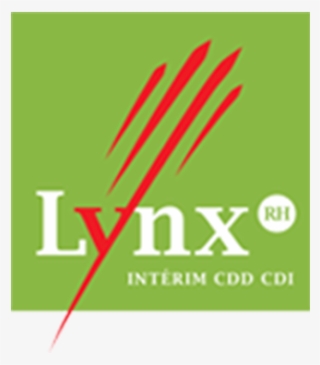 Lynx Rh & Acquila Rh - Graphic Design