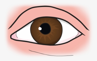 Eye - Cartoon