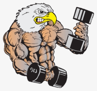 Body Builder Eagle - Lion Weight Lifting Logo