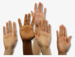 Public Involvement - Hands Raised Photo Transparent