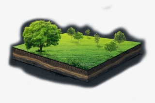 Adobestock 140253008 - Tree
