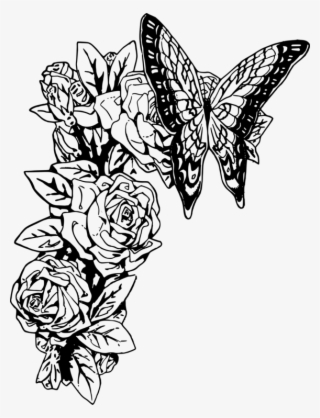 Monarch Butterfly Black And White Drawing Rose - Butterfly On Rose Drawing