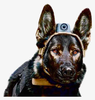 Drawn Soldiers Futuristic - Dog With Military Helmet Png