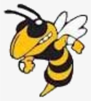 Hornet Clipart Hornet Football Mascot - Carver Center Midland Tx