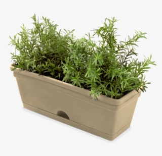 Whites Vertical Garden Mix'n'match Herb Pot - Herb Pot