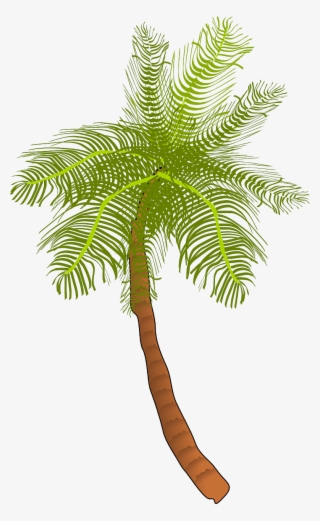 Palm Tree Ocean - Coconut Tree Clip Art