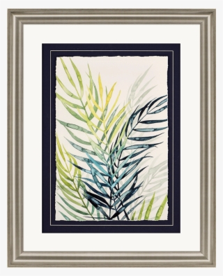 Sunset Palm Ii