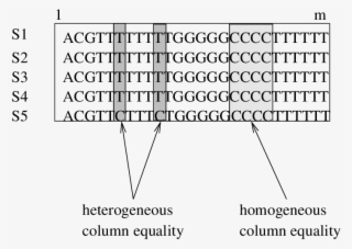Heterogeneous And Homogeneous Columns - Number