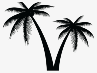 Palm Tree Silhouette - Silhouette Palm Tree Transparent Background