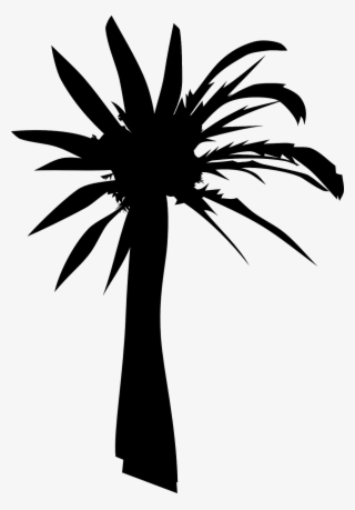 Palm Vector Graphics,free - Palm Tree Clip Art