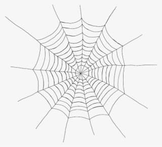 Cobwebs - Web - 2 - Web 2 591×539 69 Kb - Spider Web Spiderman