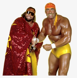 Randy Savage Wrestler - Hogan Macho Man Mega Powers