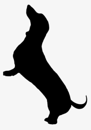 Png Royalty Free Stock Silhouette Google Search Cute - Dachshund Silhouette